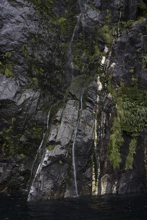 The wet rocky walls of Milford Sound