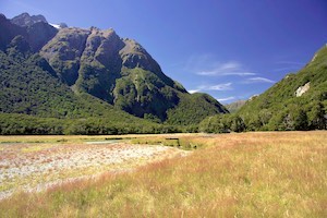 Meadows in the Routeburn valley