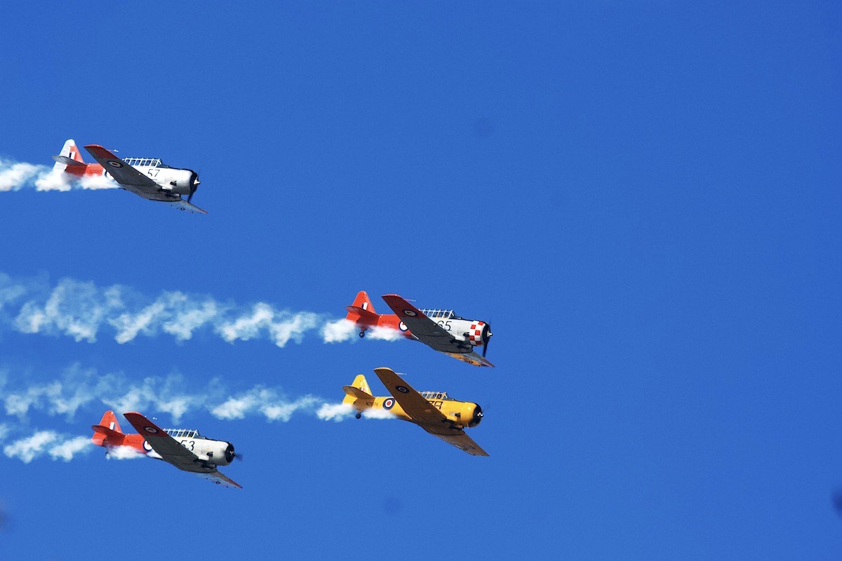 North American Harvard team