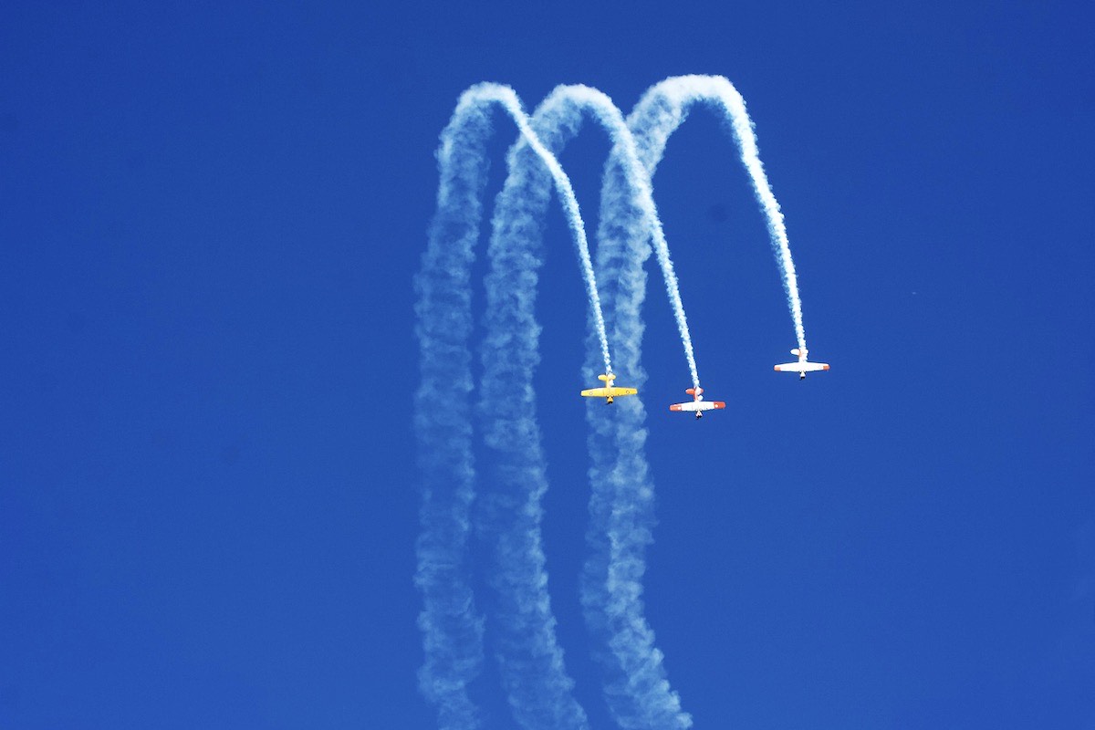 North American Harvard team