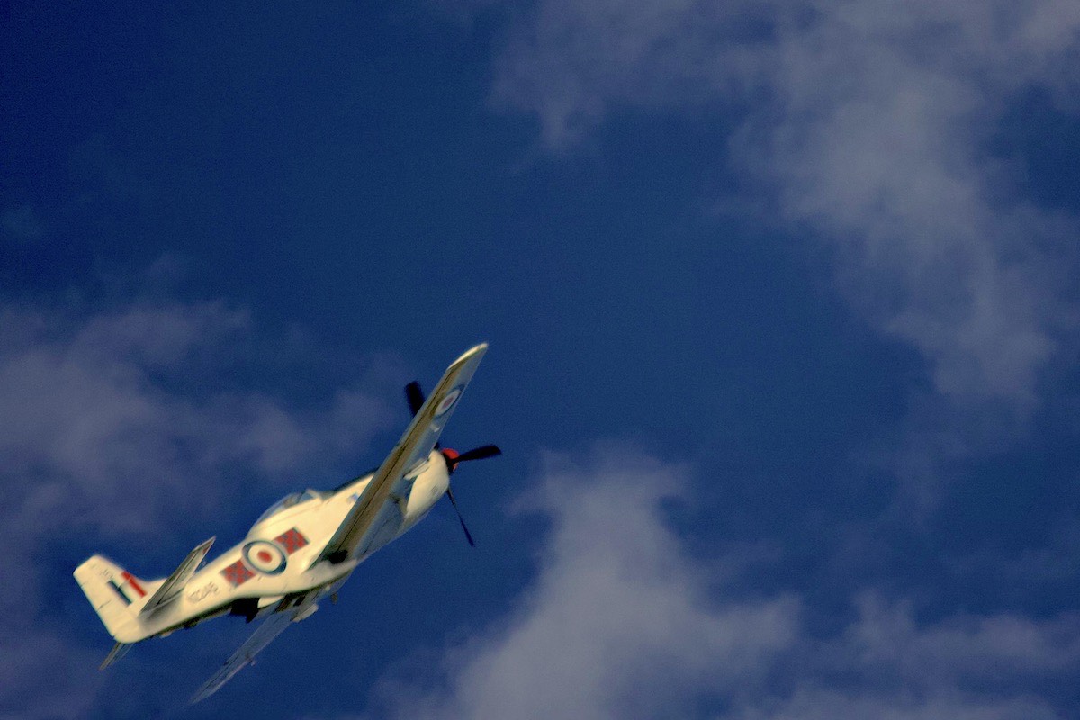 North American Mustang