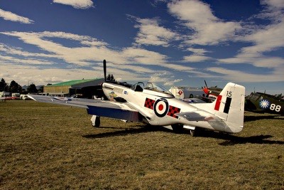 North American Mustang