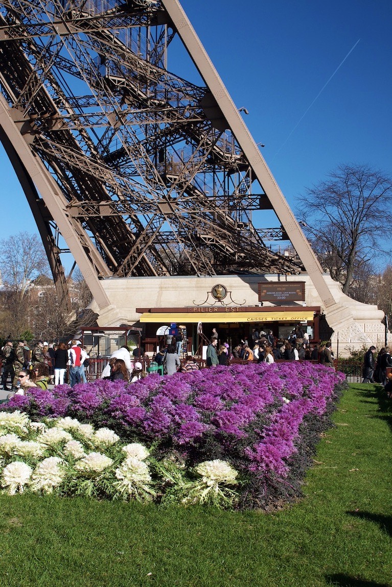 Winter gardens below the Eiffel Tower