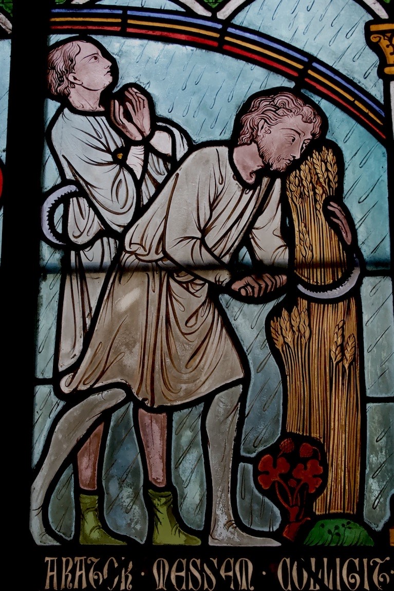 Notre-Dame stained glass