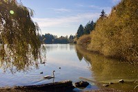 Lost lagoon