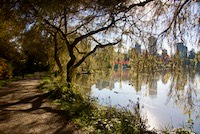 Lost lagoon