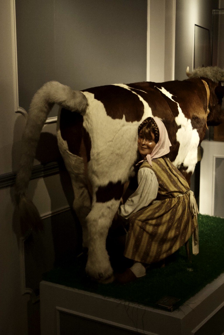 Automaton: she milks the cow