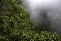 God's Window viewpoint