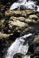 Treur River at Bourke's Luck Potholes