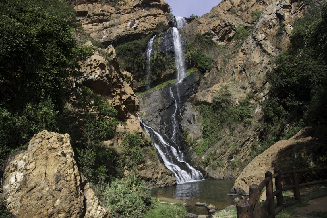 Walter Sisulu National Botanical Garden