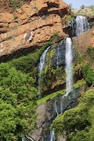 Walter Sisulu National Botanical Garden