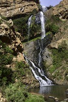 Walter Sisulu National Botanical Garden