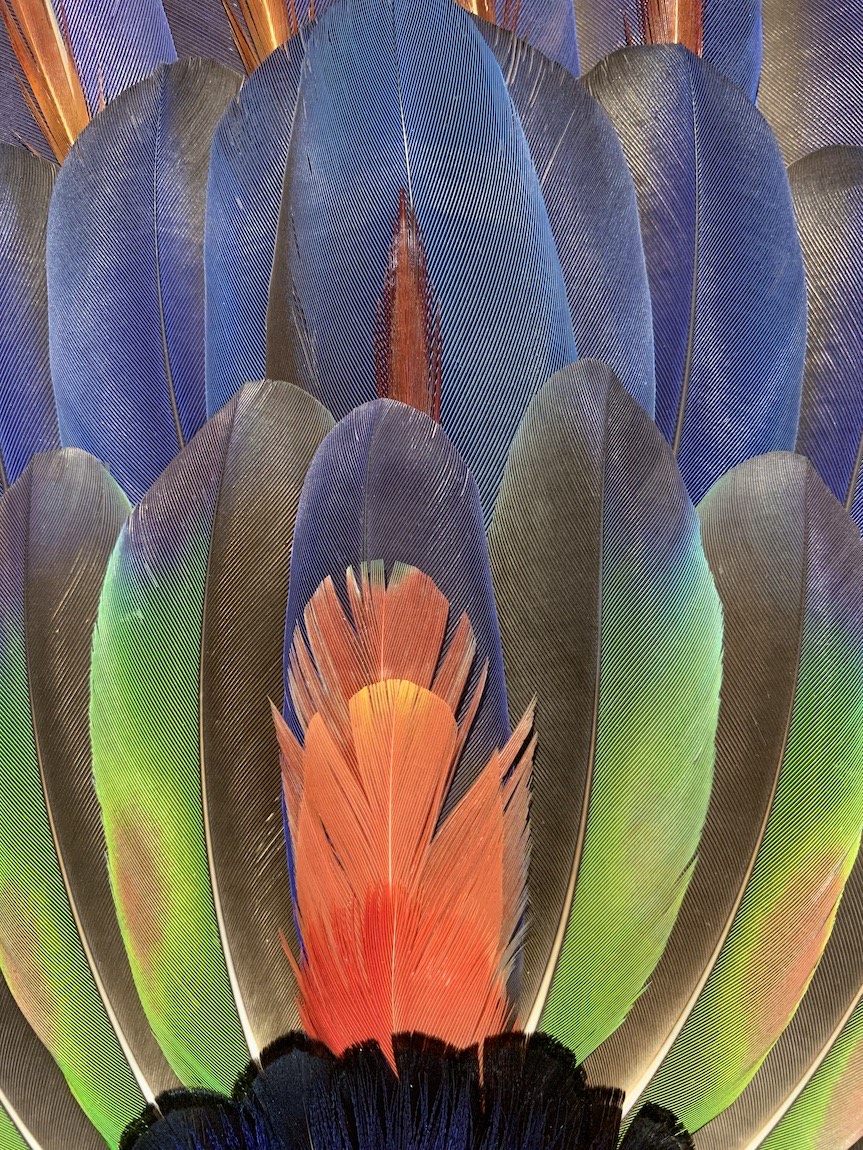 Art on display at resort