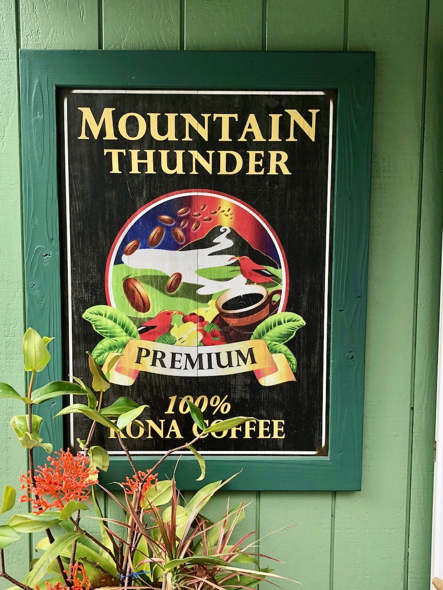 Mountain Thunder coffee plantation at  ⁨Kailua Kona