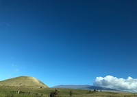 High Country near Waimea