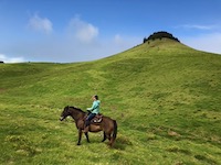 Home on the Range