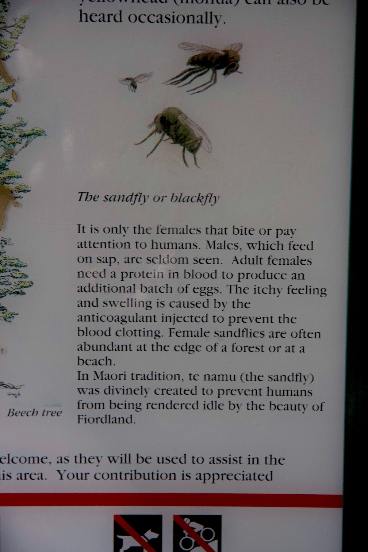 Idle? Definitely not