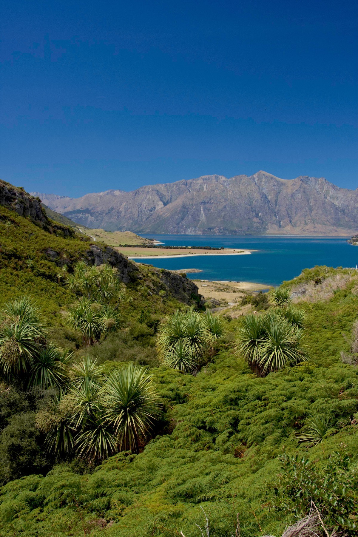 Lake Hawea from “the Neck” between Lake Wanaka and Lake Hawea