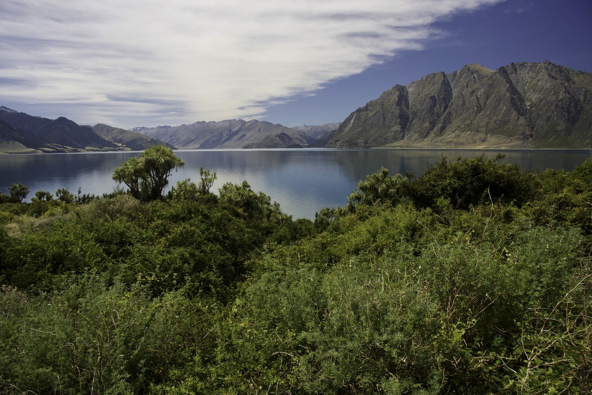 It is a dramatic shoreline - Lake Hawea