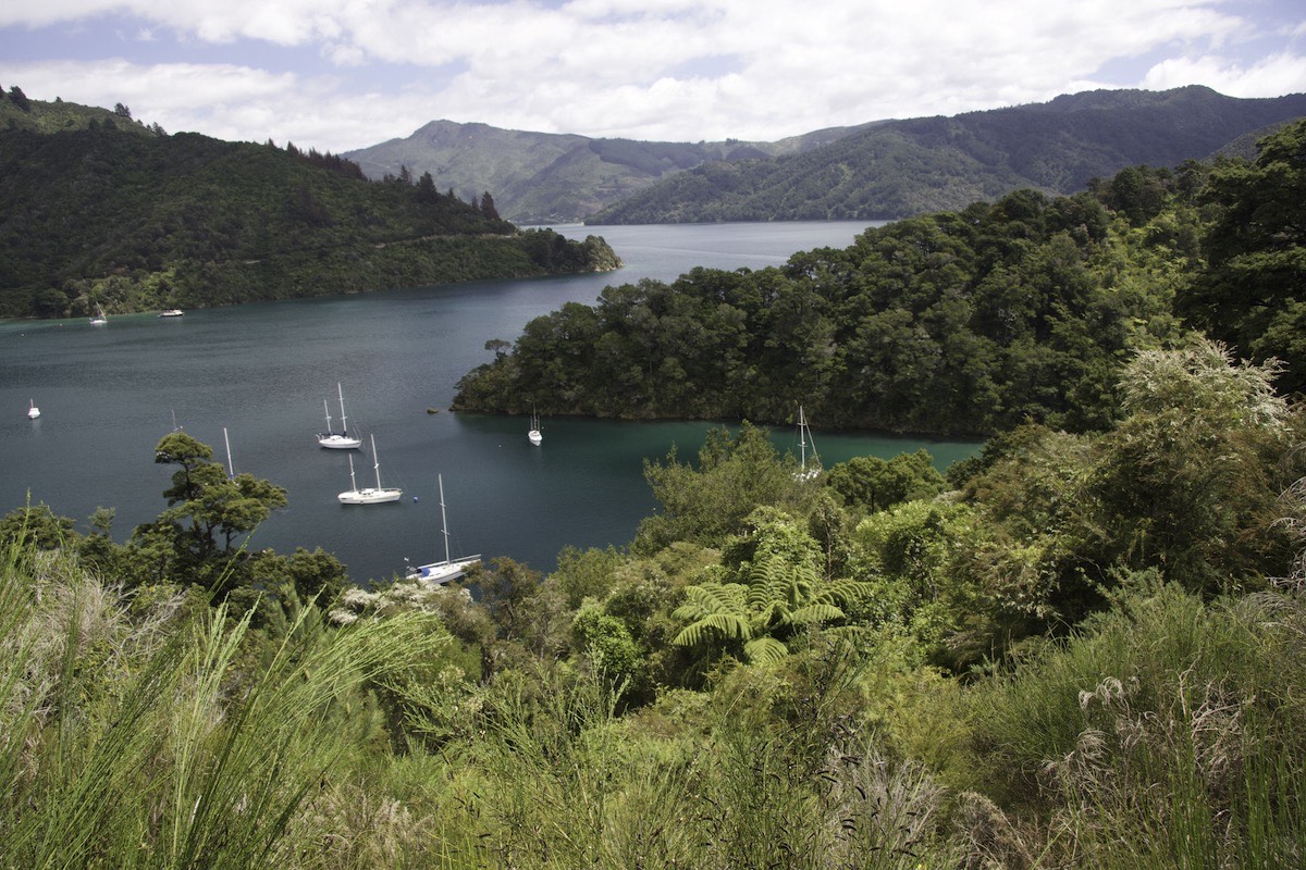 Queen Charlotte Sound near to Picton