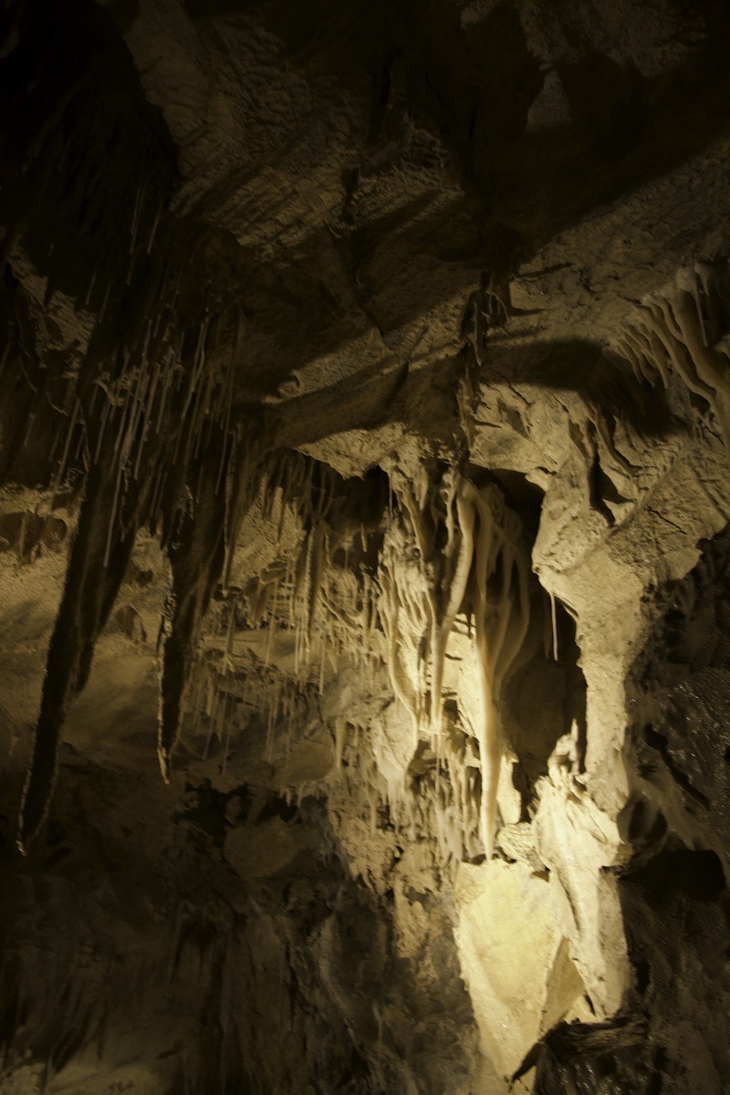 In the cave on Takaka Hill