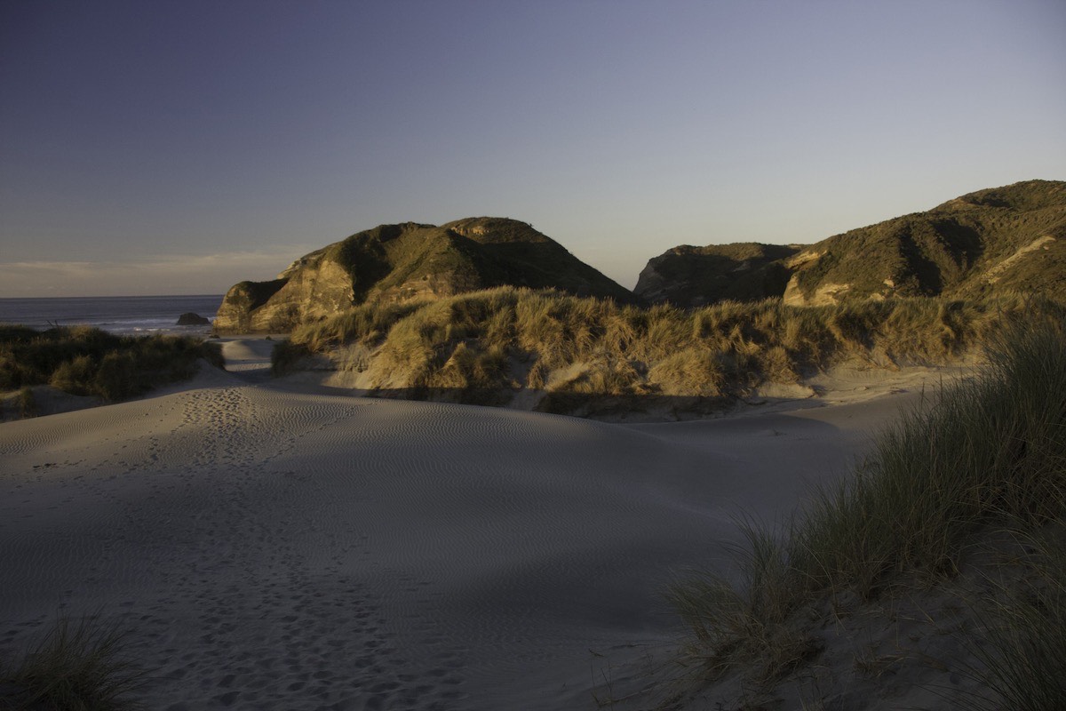 First Sight of Wharariki Beach in Puponga Farm Park