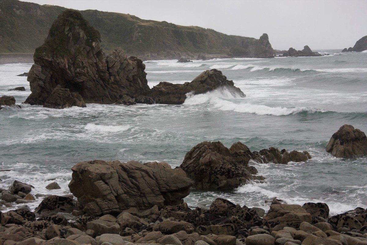 Cape Foulwind - boat trip anyone?