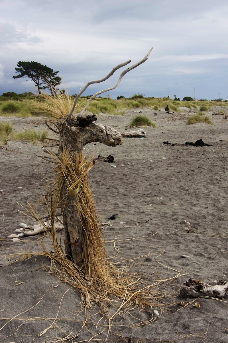 Mr Kool the camel - at a beach sculpture contest