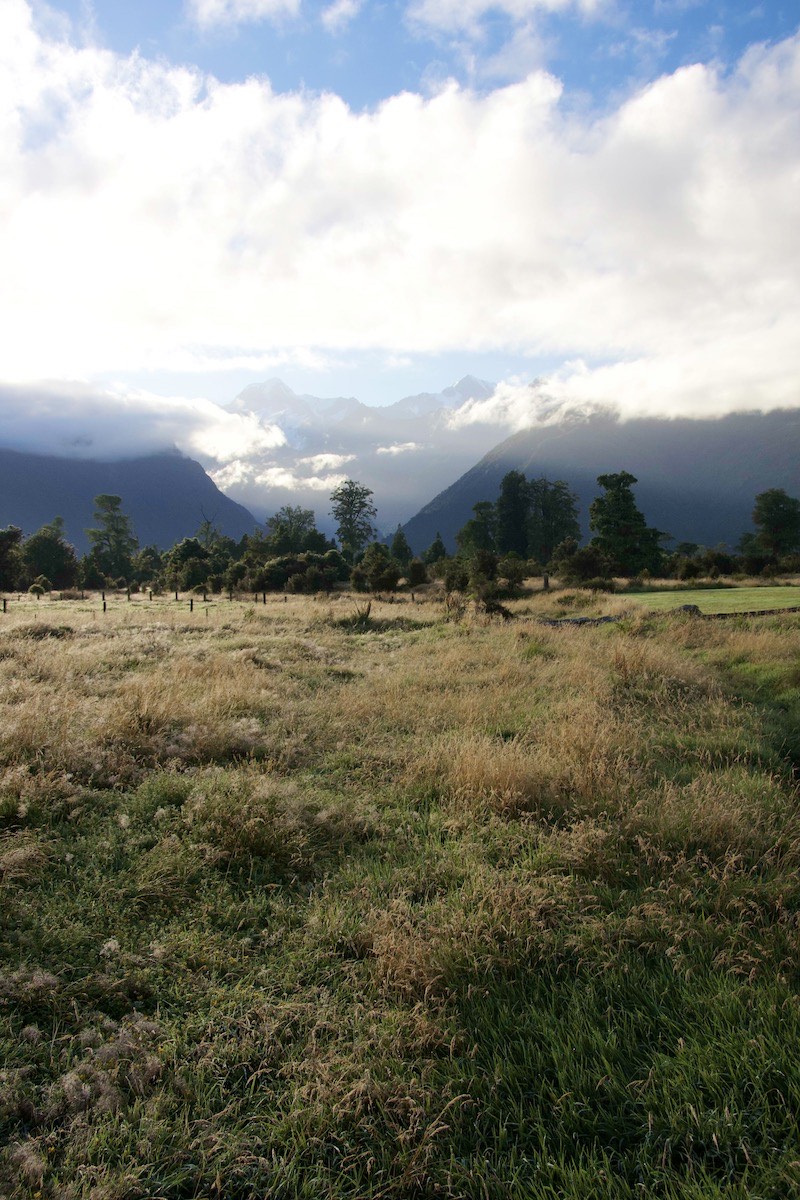 Morning dew - looking across meadows toward Mount Cook