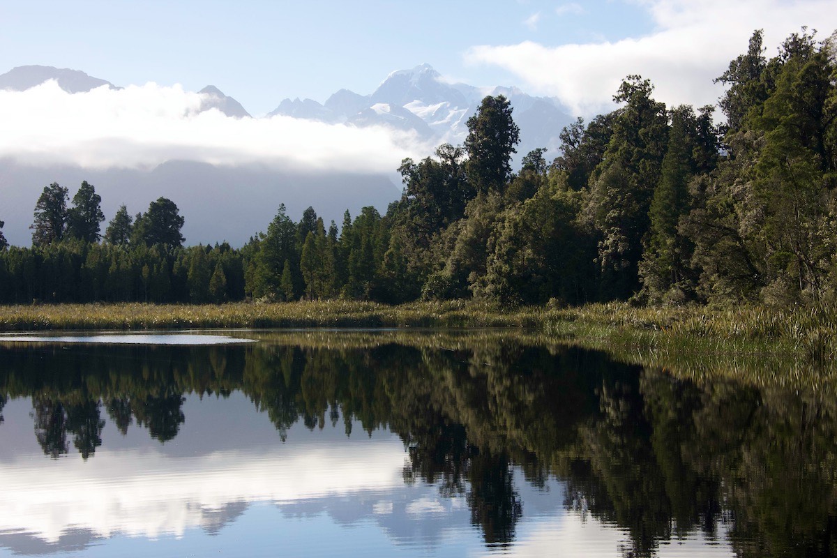 A corner of Lake Matheson dominated by Aoraki
