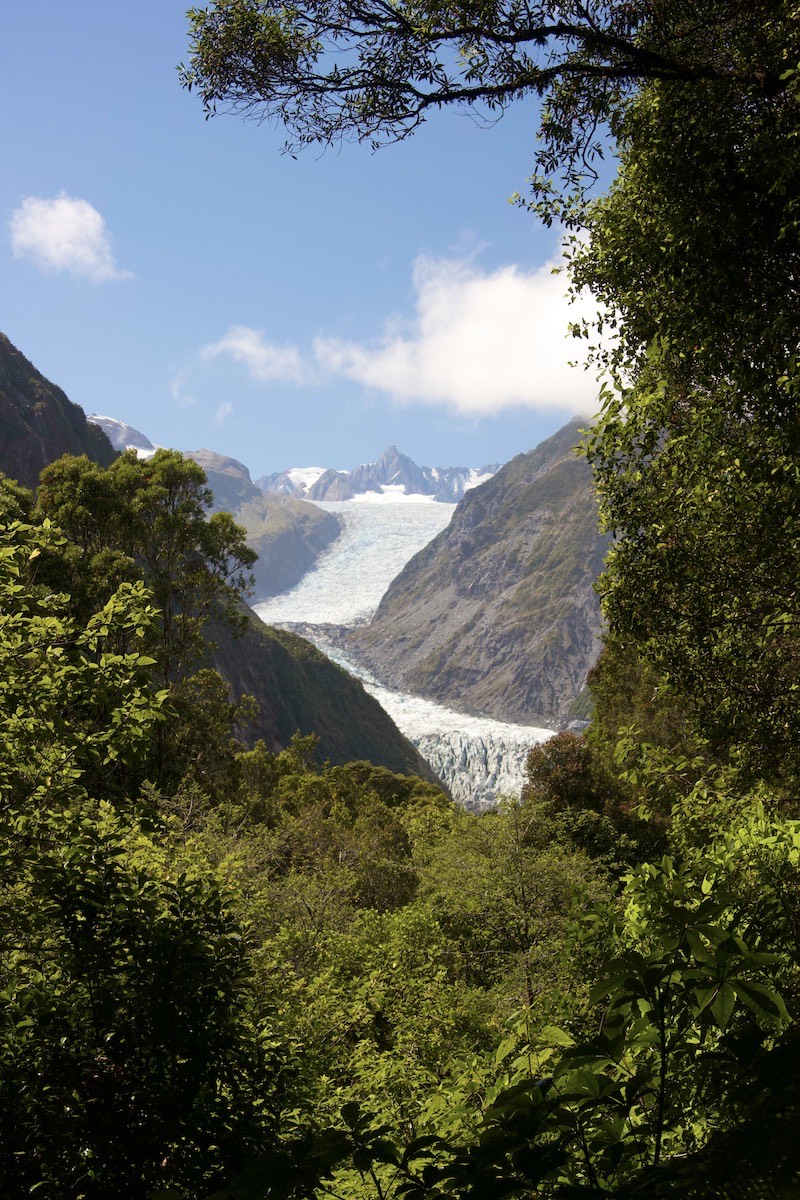 Fox Glacier - close to the forest and the sea