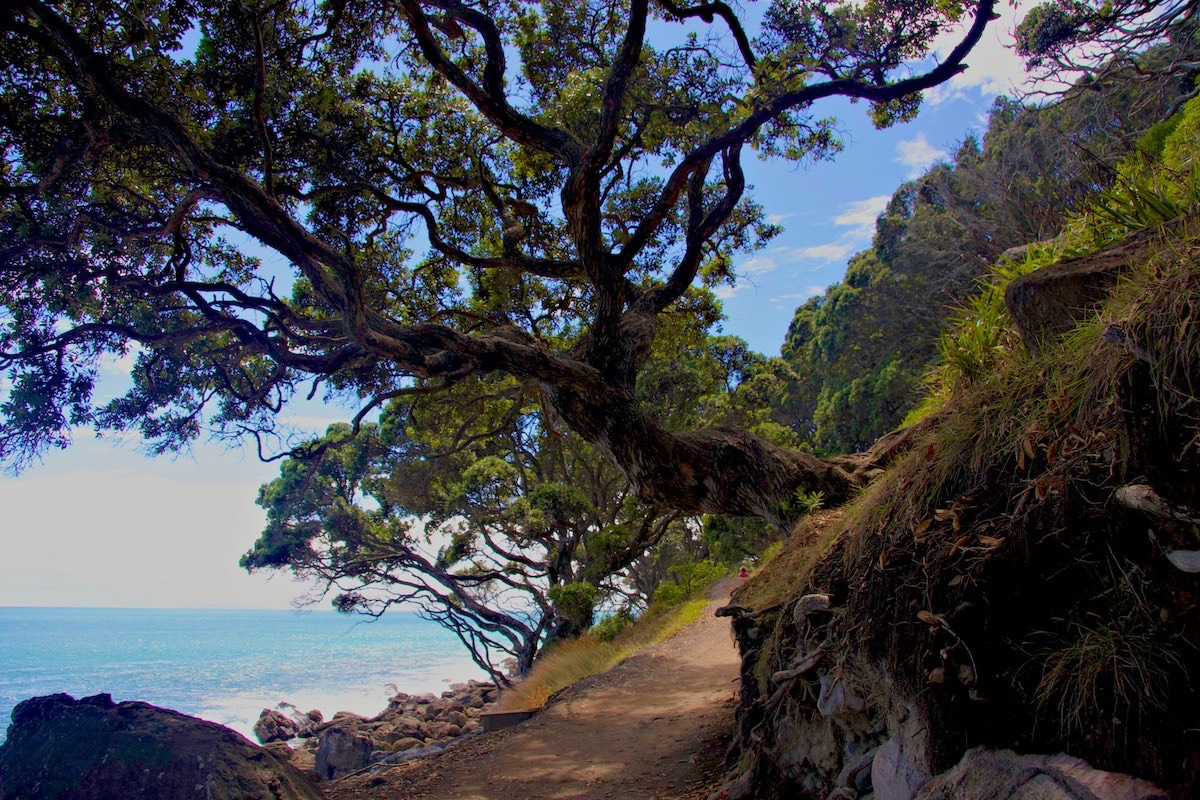 trail around the mount