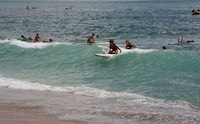 Competitors at Mount Maungaui surf carnival