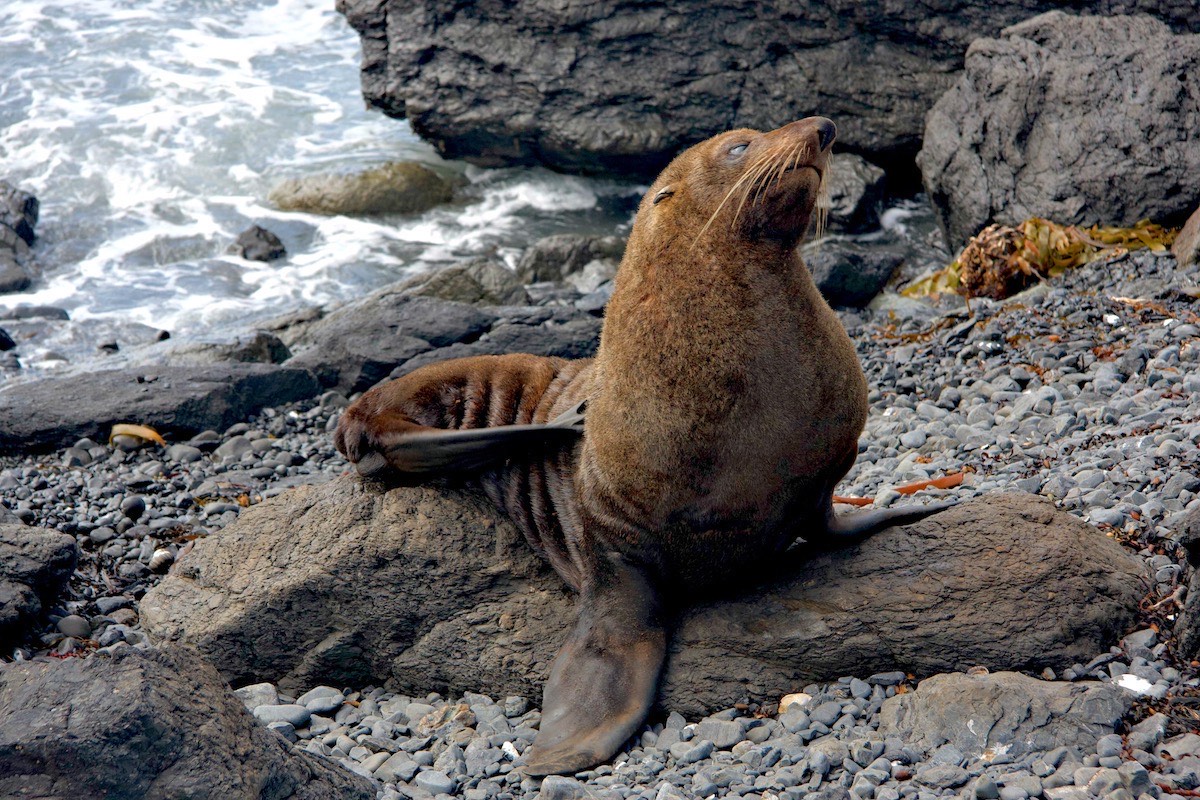 One hell of an itch just here