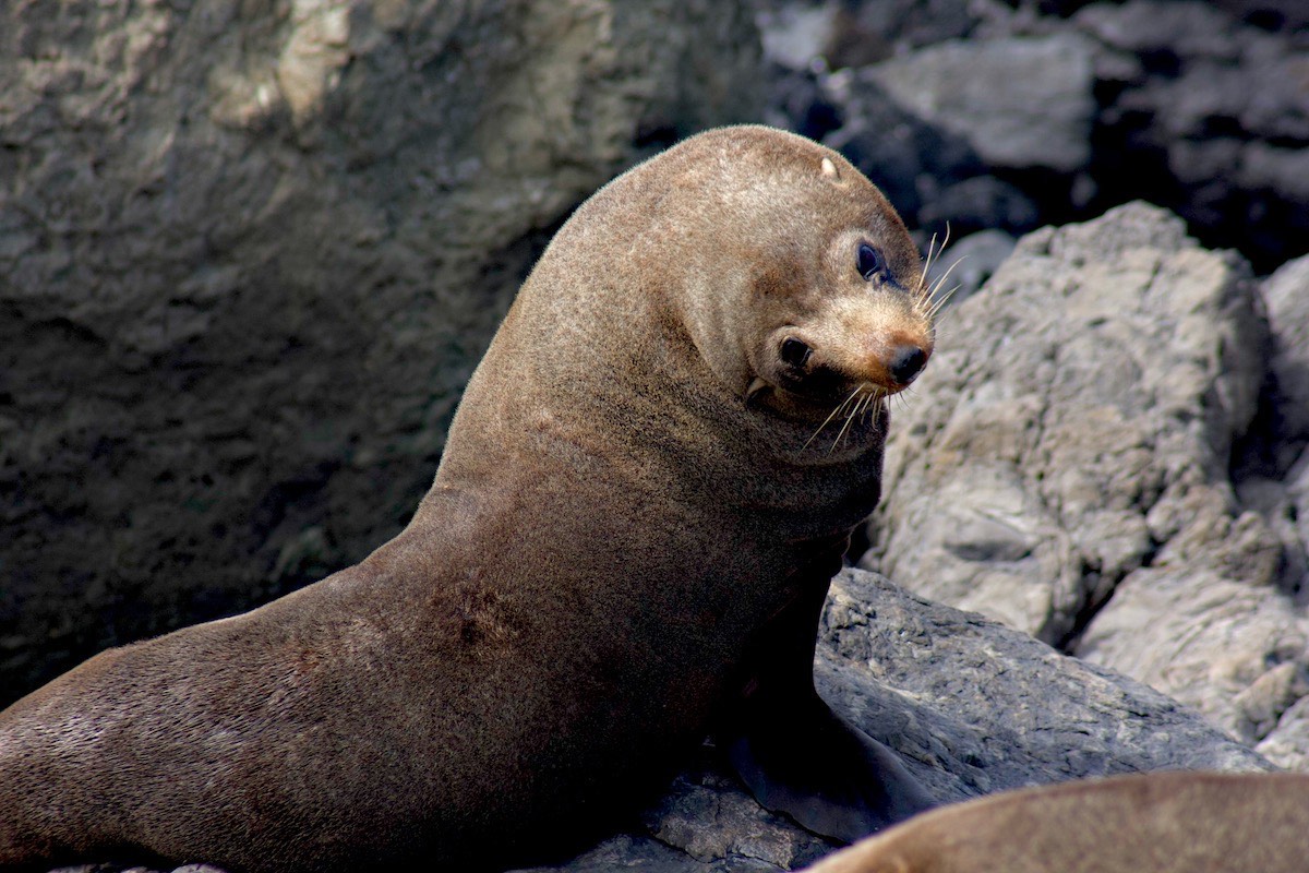 What are you disturbing me for?