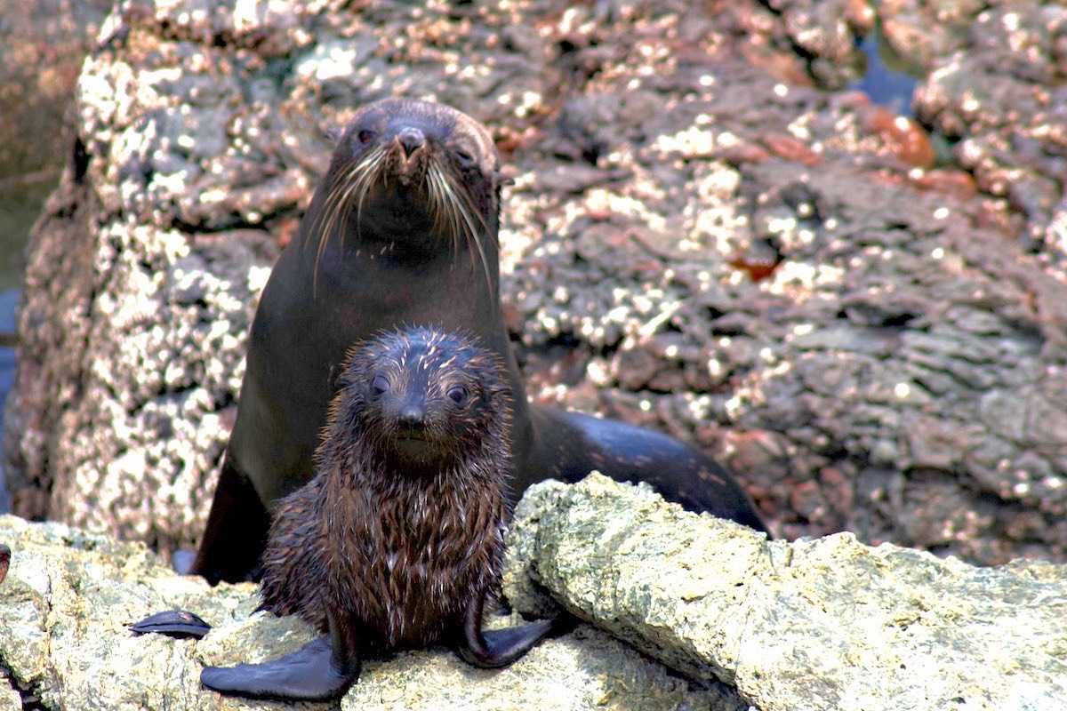 I'm a little scruffy