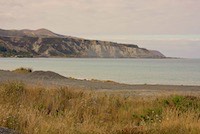 On the road to Cape Palliser