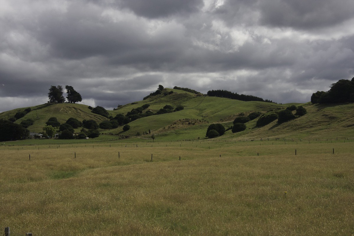 more Wairarapa countryside