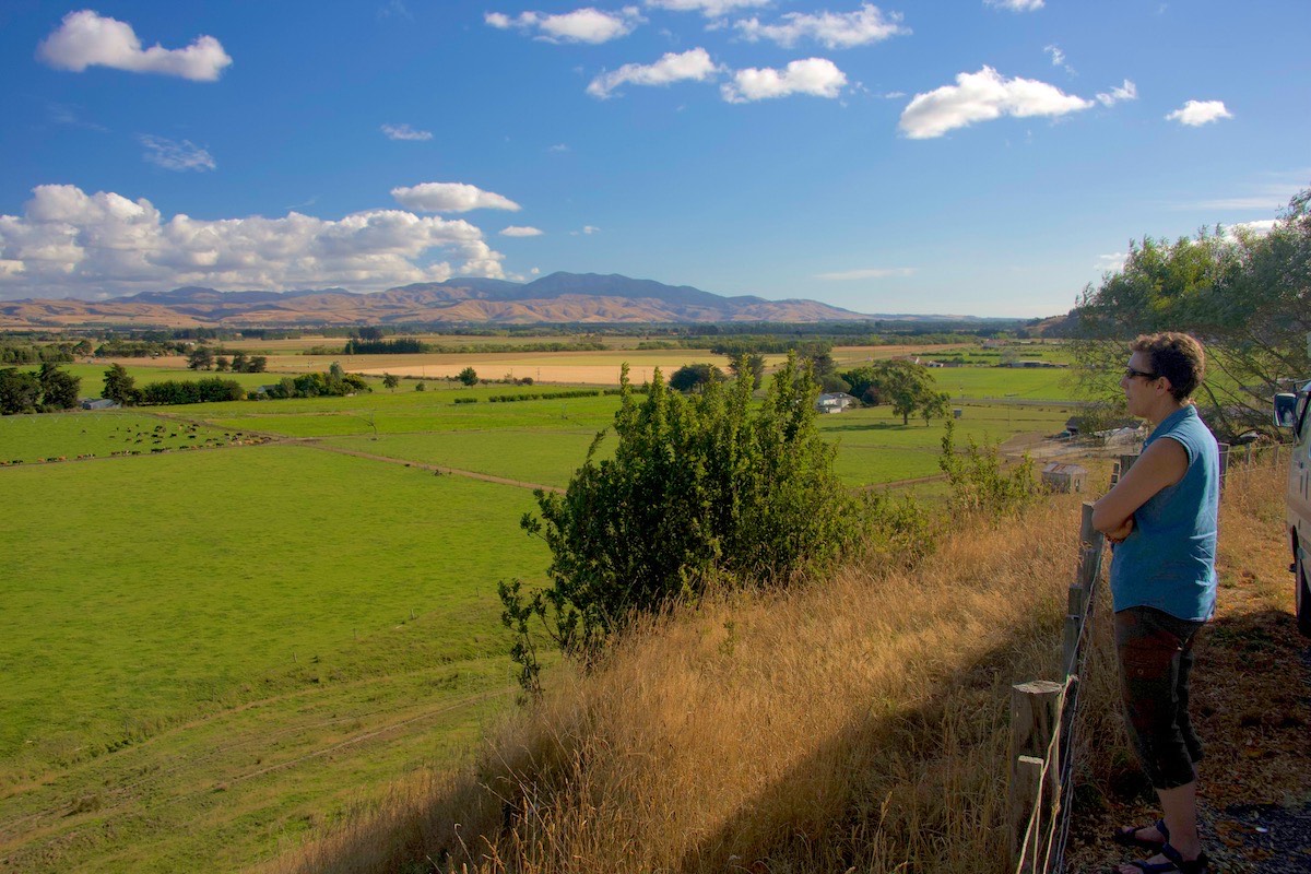 Wairarapa countryside