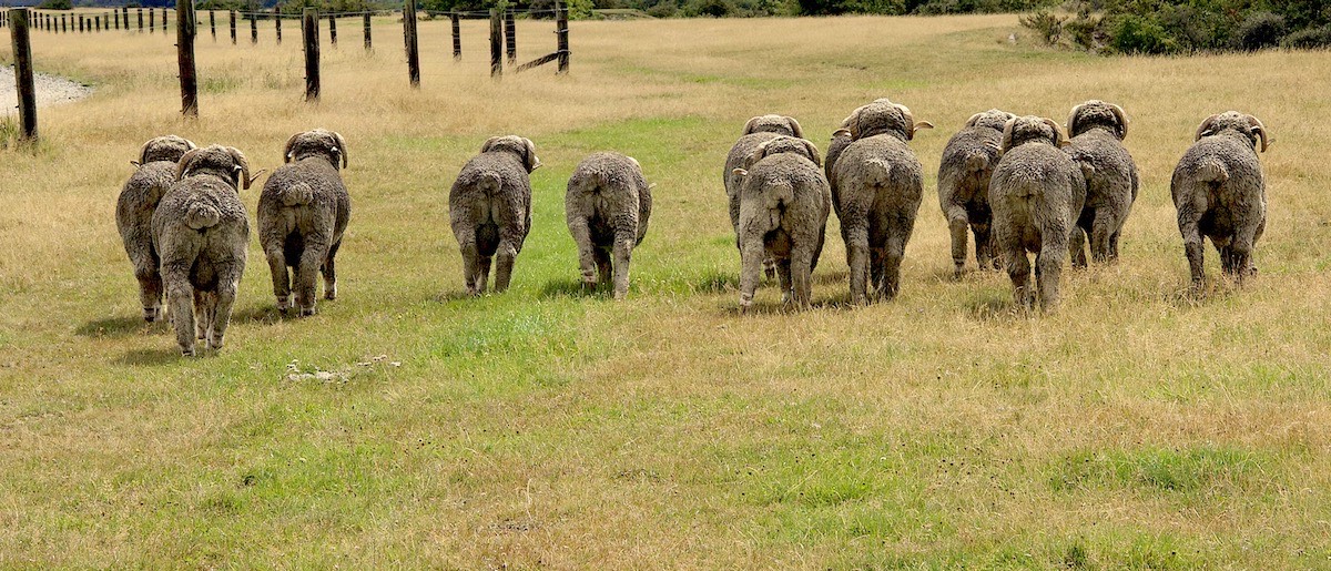 On parade - away from the nosy tourists