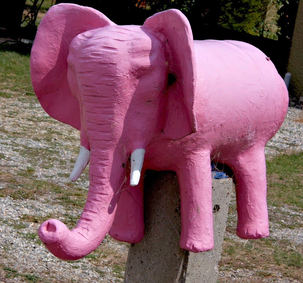 This is what you see when you drink too much at the Vulcan