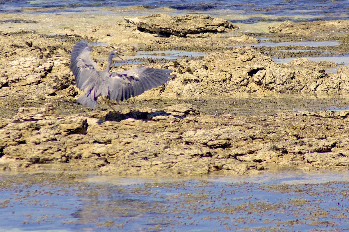 Landing here must be painful on the feet