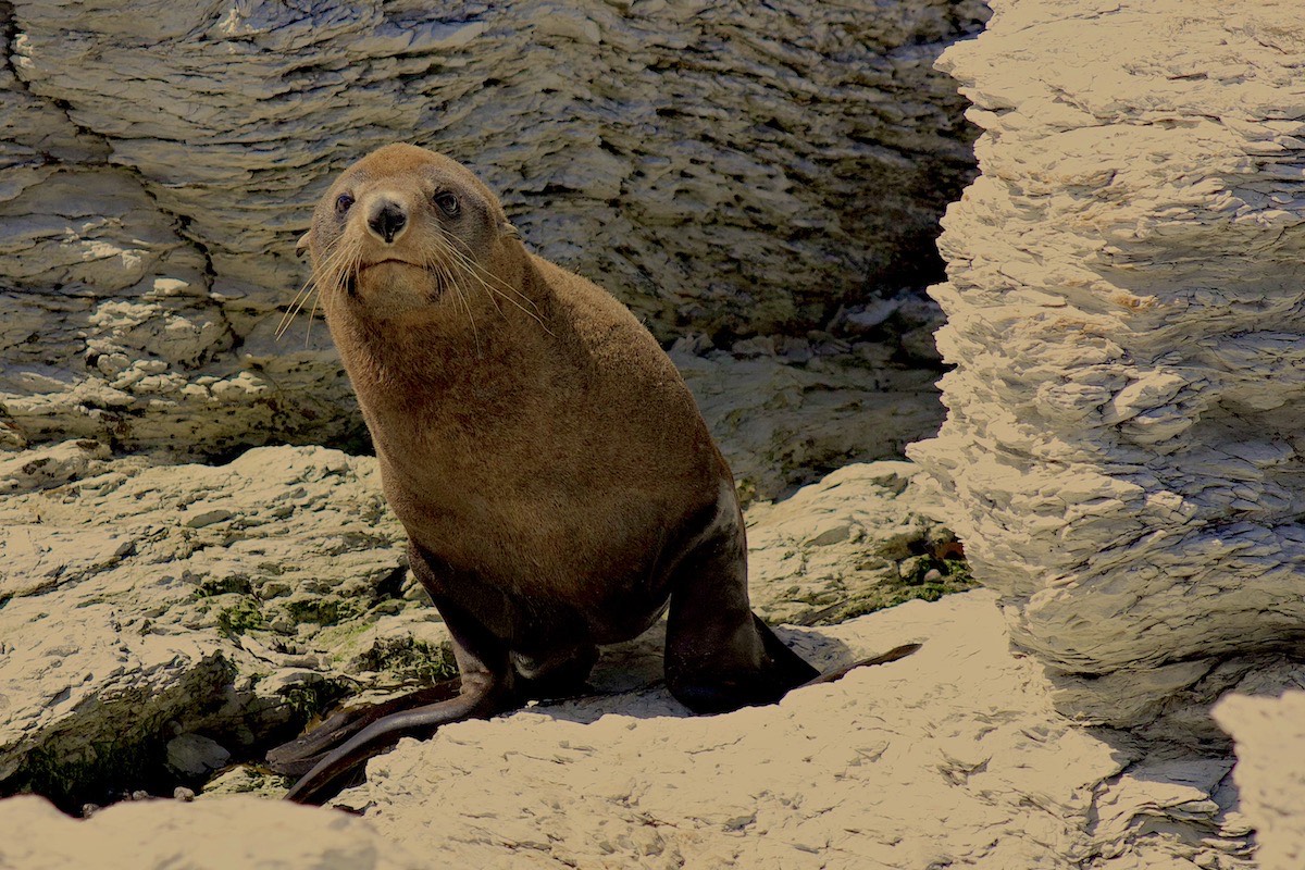 This one looks like he's about to deliver a pithy comment