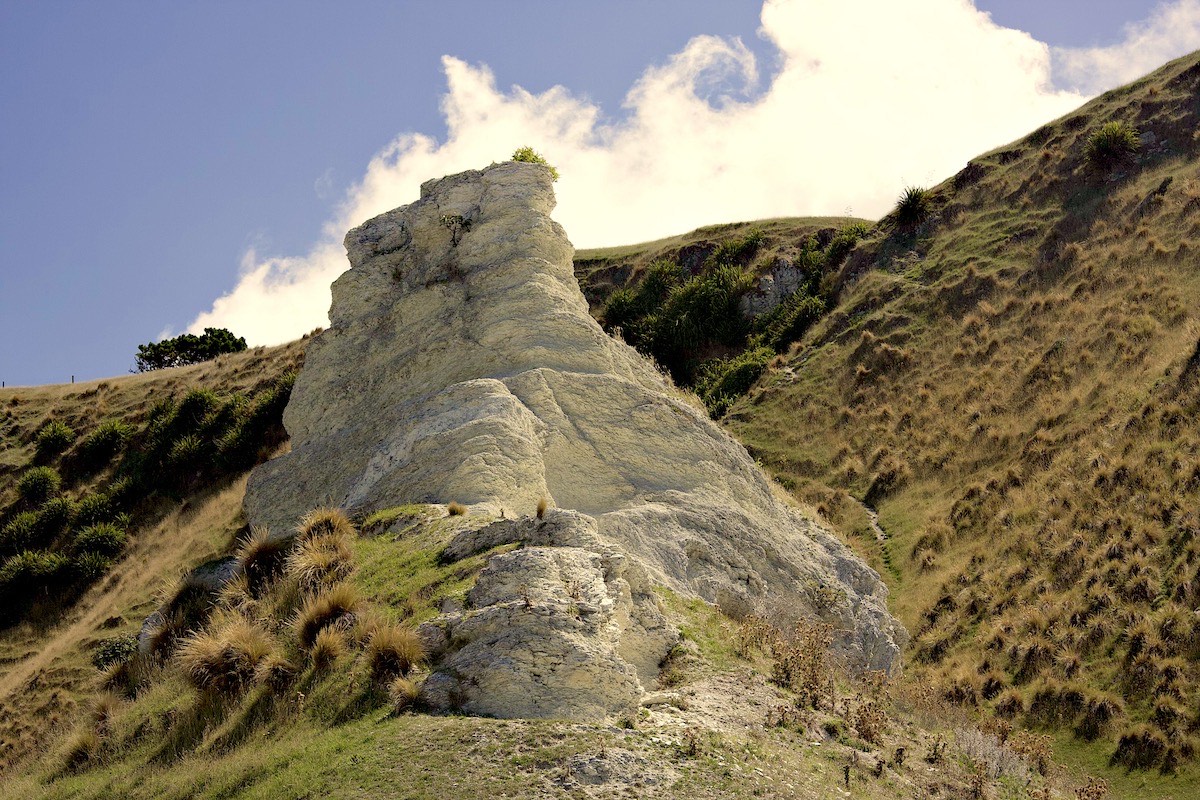 Remnant limestone pinnicle