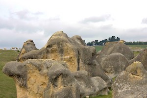 Curious rock formations known as the Elephant Rocks.  They have a resident crew of lawn keepers in woolly coats.