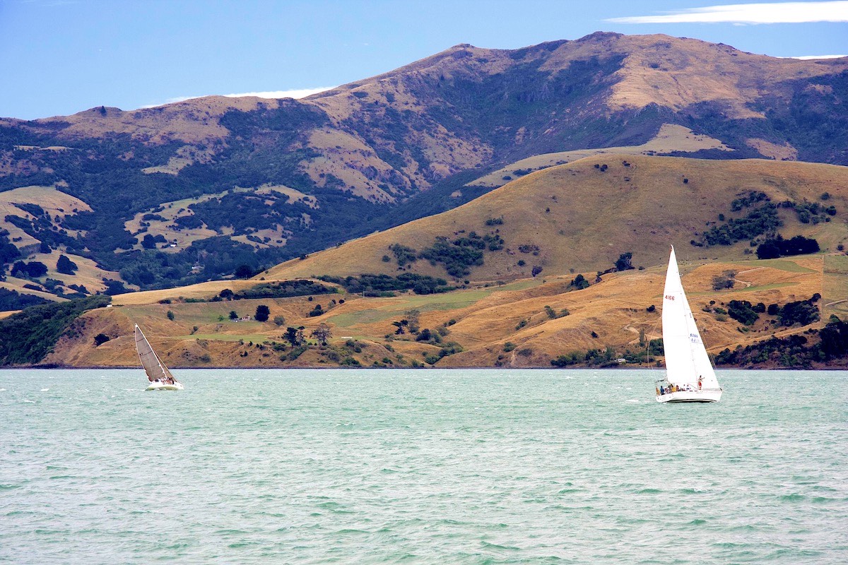 Akaroa Harbour, on the tip of Bank's Peninsula