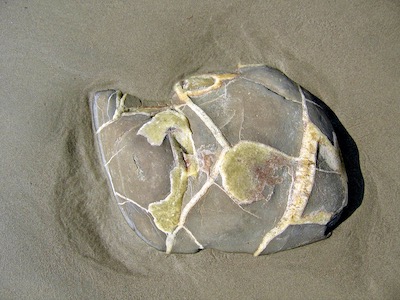 Remnant of an interesting rock as seen on Moeraki beach