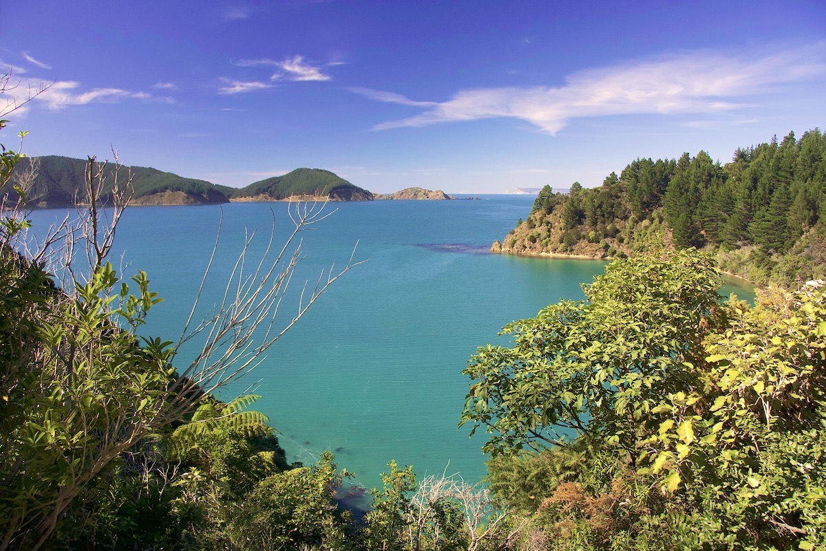 Another view on the back route